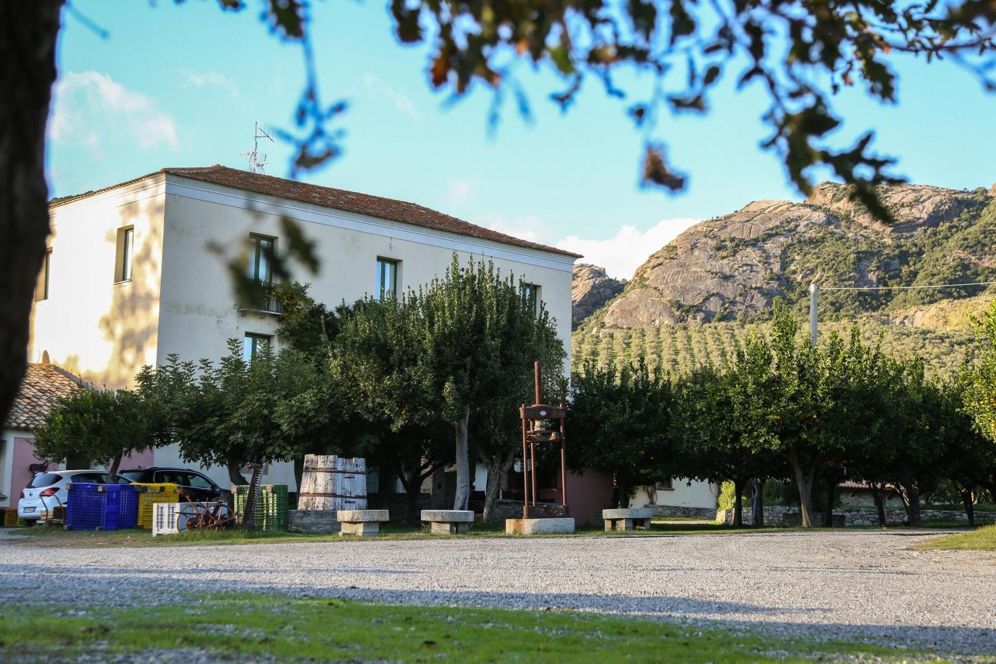 Barone Gr Macri Agriturismo Modi Gerace Eksteriør bilde