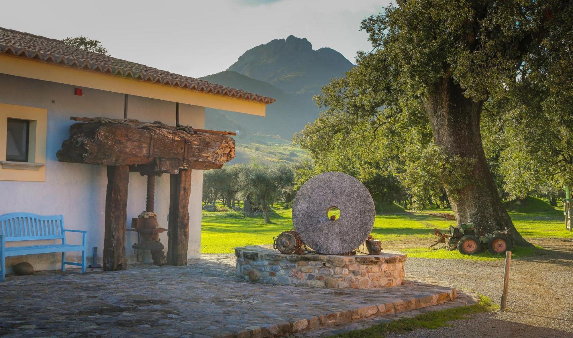 Barone Gr Macri Agriturismo Modi Gerace Eksteriør bilde