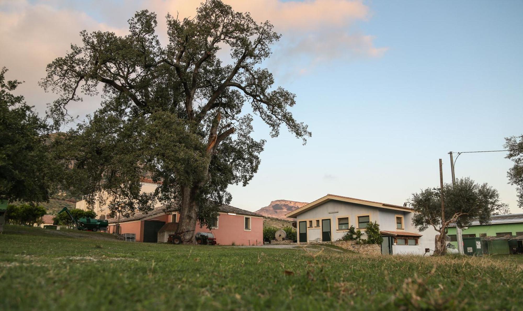 Barone Gr Macri Agriturismo Modi Gerace Eksteriør bilde